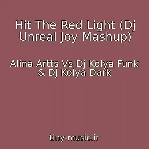 کاور آهنگ Hit The Red Light (Dj Unreal Joy Mashup) از Alina Artts Vs Dj Kolya Funk & Dj Kolya Dark