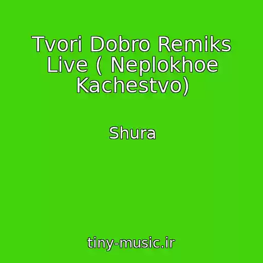 کاور آهنگ Tvori Dobro Remiks Live ( Neplokhoe Kachestvo) از Shura