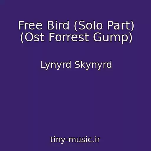کاور آهنگ Free Bird (Solo Part) (Ost Forrest Gump) از Lynyrd Skynyrd