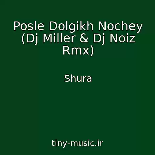 کاور آهنگ Posle Dolgikh Nochey (Dj Miller & Dj Noiz Rmx) از Shura