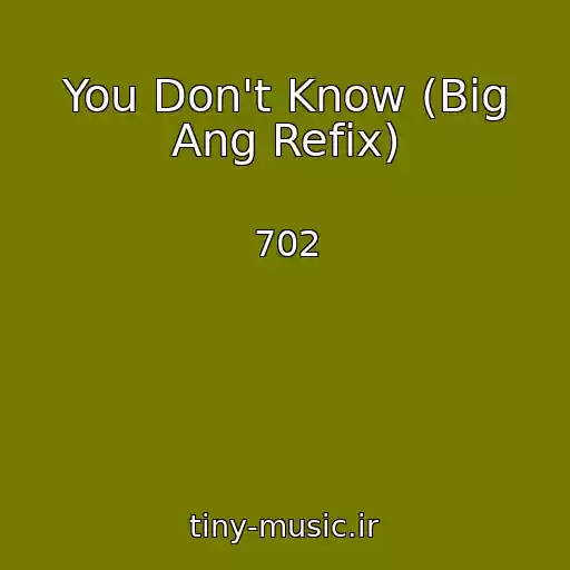 کاور آهنگ You Don't Know (Big Ang Refix) از 702
