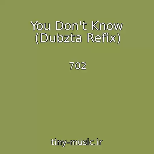 کاور آهنگ You Don't Know (Dubzta Refix) از 702