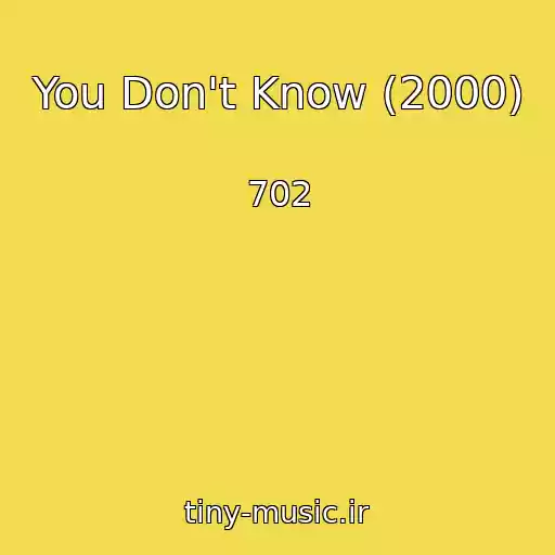 کاور آهنگ You Don't Know (2000) از 702