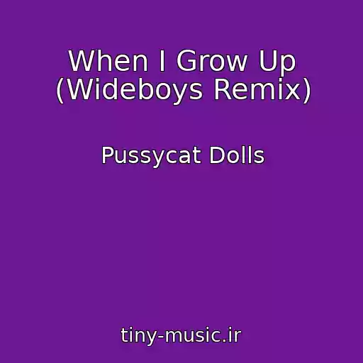 کاور آهنگ When I Grow Up (Wideboys Remix) از Pussycat Dolls