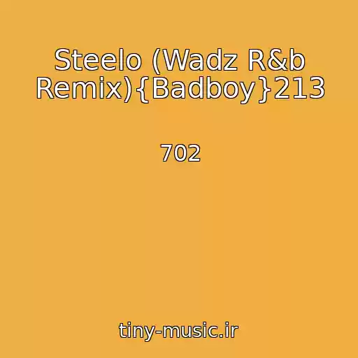 کاور آهنگ Steelo (Wadz R&b Remix){Badboy}213 از 702
