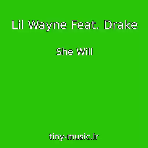 کاور آهنگ Lil Wayne Feat. Drake از She Will