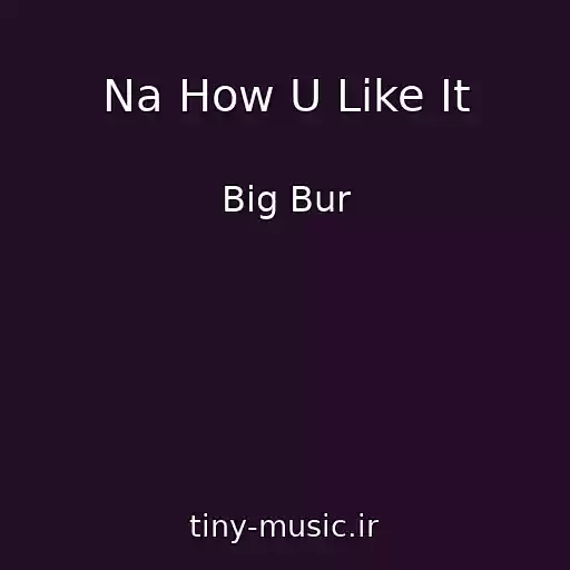کاور آهنگ Na How U Like It از Big Bur