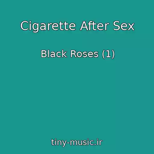 کاور آهنگ Cigarette After Sex از Black Roses (1)