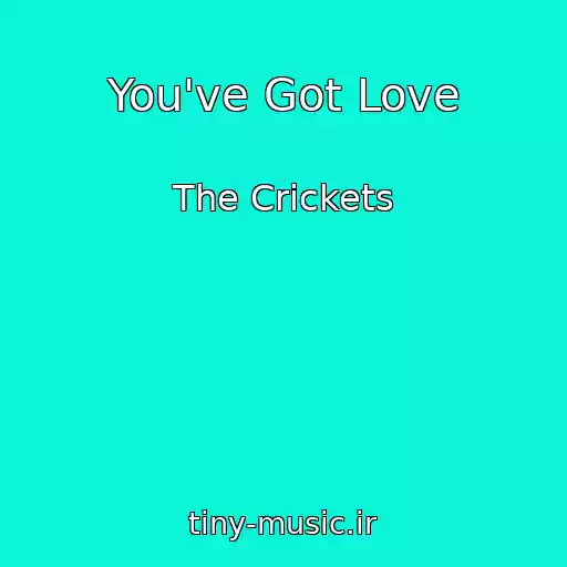 کاور آهنگ You've Got Love از The Crickets