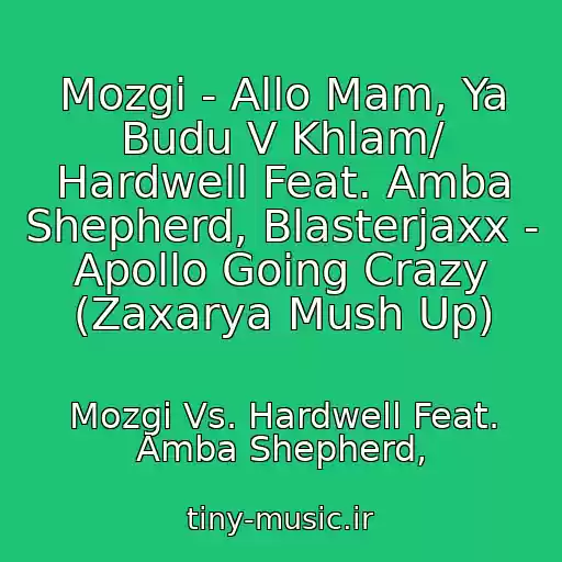 کاور آهنگ Mozgi - Allo Mam, Ya Budu V Khlam/ Hardwell Feat. Amba Shepherd, Blasterjaxx - Apollo Going Crazy (Zaxarya Mush Up) از Mozgi Vs. Hardwell Feat. Amba Shepherd,