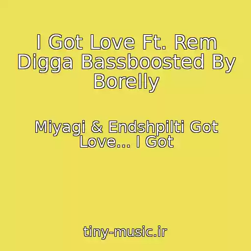 کاور آهنگ I Got Love Ft. Rem Digga Bassboosted By Borelly از Miyagi & Endshpilti Got Love... I Got