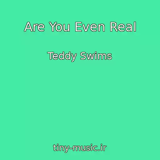 کاور آهنگ Are You Even Real از Teddy Swims