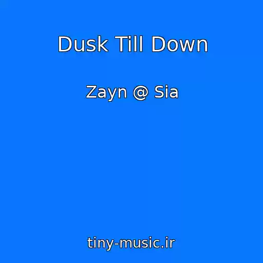 کاور آهنگ Dusk Till Down از Zayn @ Sia