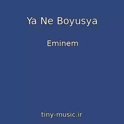 کاور آهنگ Ya Ne Boyusya از Emіnem