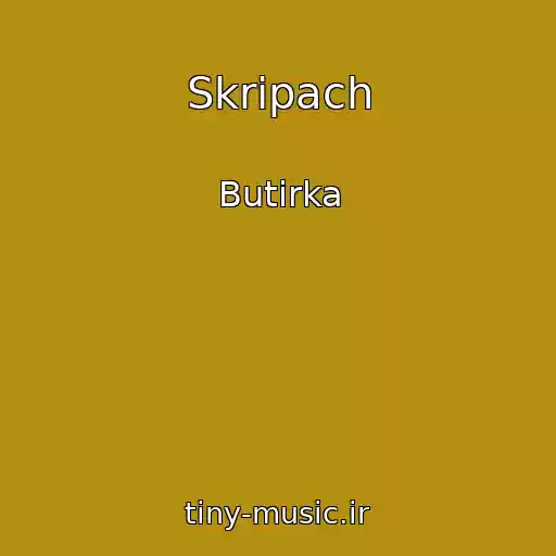 کاور آهنگ Skripach از Butirka