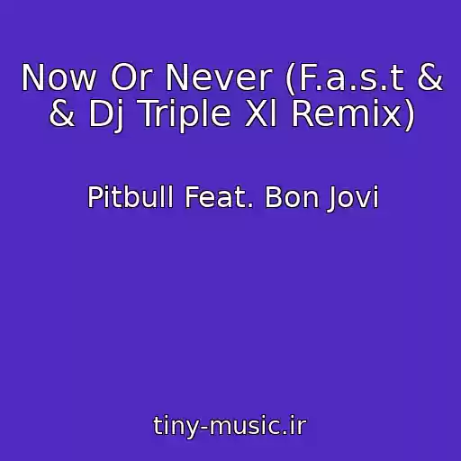 کاور آهنگ Now Or Never (F.a.s.t & & Dj Triple Xl Remix) از Pitbull Feat. Bon Jovi