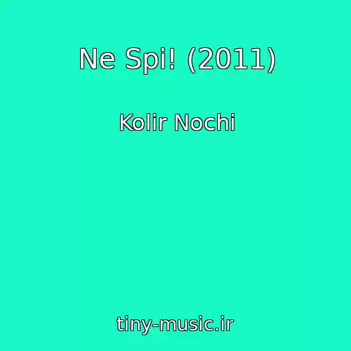 کاور آهنگ Ne Spi! (2011) از Kolіr Nochі