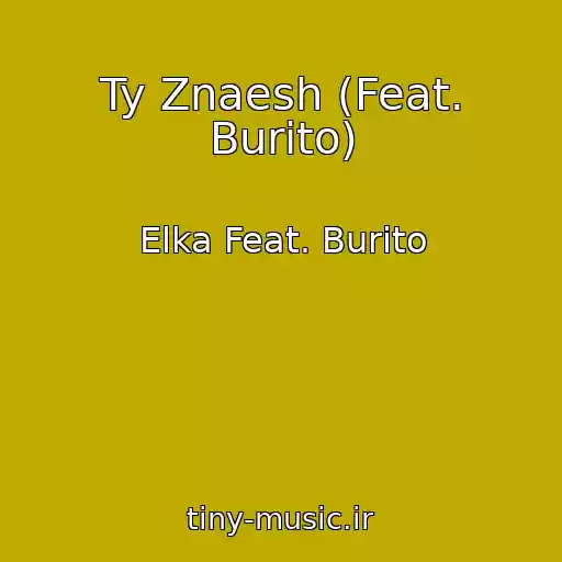کاور آهنگ Ty Znaesh (Feat. Burito) از Elka Feat. Burito