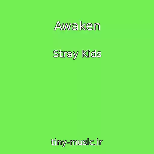 کاور آهنگ Awaken از Stray Kids