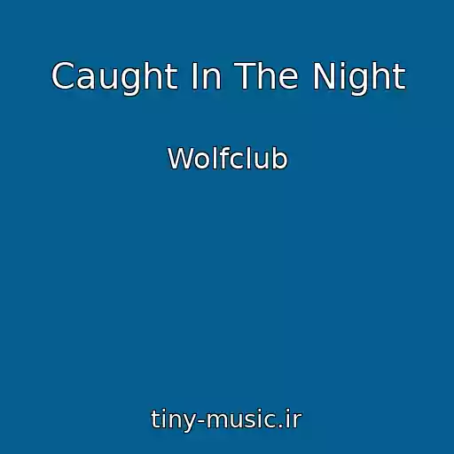 کاور آهنگ Caught In The Night از Wolfclub