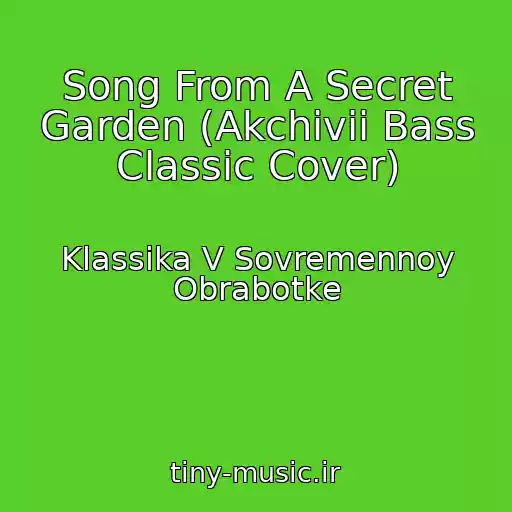 کاور آهنگ Song From A Secret Garden (Akchivii Bass Classic Cover) از Klassika V Sovremennoy Obrabotke