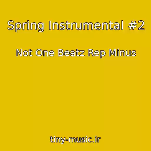 کاور آهنگ Spring Instrumental #2 از Not One Beatz Rep Minus
