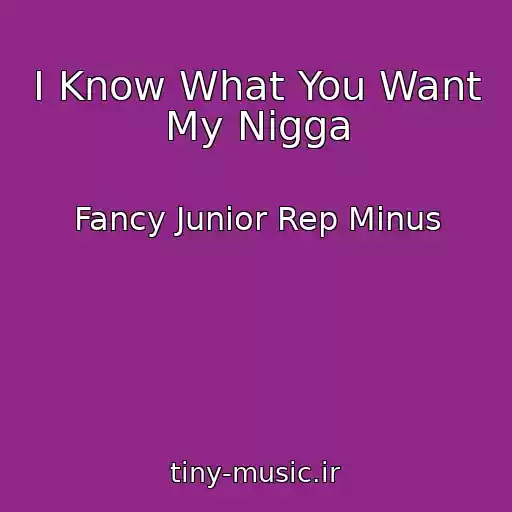 کاور آهنگ I Know What You Want My Nigga از Fancy Junior Rep Minus