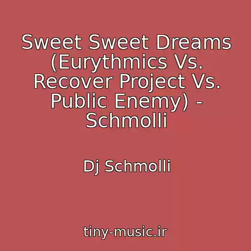 کاور آهنگ Sweet Sweet Dreams (Eurythmics Vs. Recover Project Vs. Public Enemy) - Schmolli از Dj Schmolli