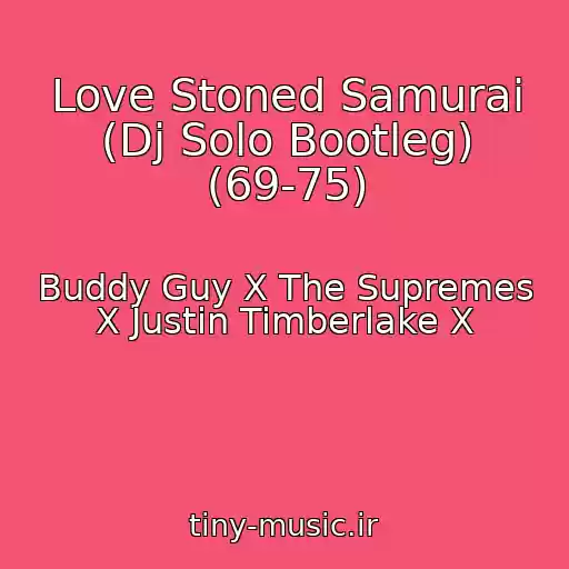 کاور آهنگ Love Stoned Samurai (Dj Solo Bootleg) (69-75) از Buddy Guy X The Supremes X Justin Timberlake X