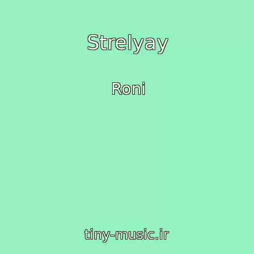 کاور آهنگ Strelyay از Roni
