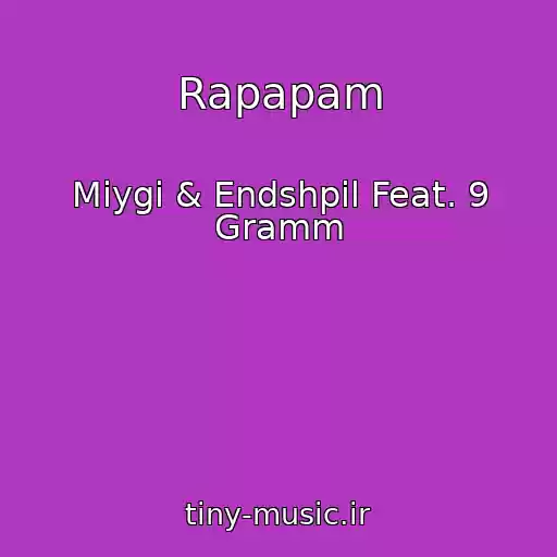کاور آهنگ Rapapam از Miygi & Endshpil Feat. 9 Gramm