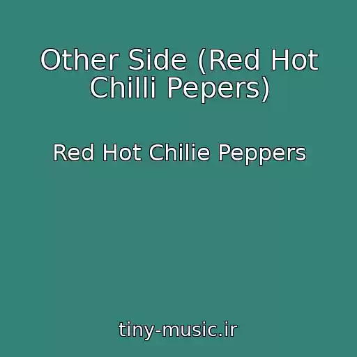 کاور آهنگ Other Side (Red Hot Chilli Pepers) از Red Hot Chilie Peppers