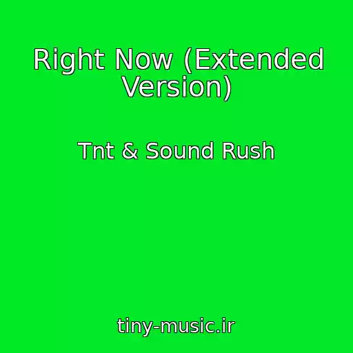 کاور آهنگ Right Now (Extended Version) از Tnt & Sound Rush