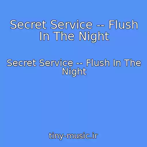 کاور آهنگ Secret Service -- Flush In The Night از Secret Service -- Flush In The Night