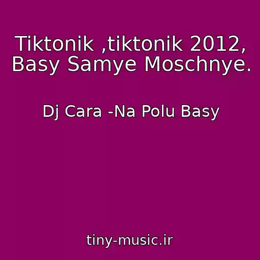 کاور آهنگ Tiktonik ,tiktonik 2012, Basy Samye Moschnye. از Dj Cara -Na Polu Basy