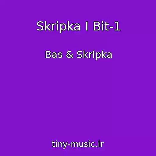 کاور آهنگ Skripka I Bit-1 از Bas & Skripka