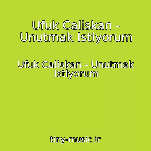 کاور آهنگ Ufuk Caliskan - Unutmak Istiyorum از Ufuk Caliskan - Unutmak Istiyorum