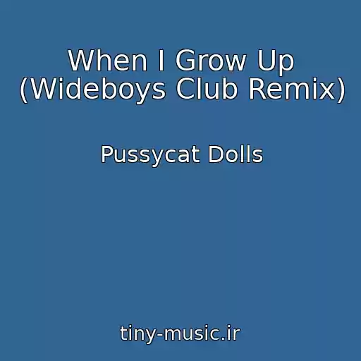 کاور آهنگ When I Grow Up (Wideboys Club Remix) از Pussycat Dolls