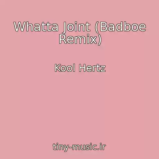 کاور آهنگ Whatta Joint (Badboe Remix) از Kool Hertz