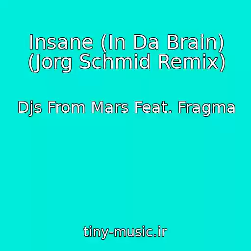 کاور آهنگ Insane (In Da Brain) (Jorg Schmid Remix) از Djs From Mars Feat. Fragma