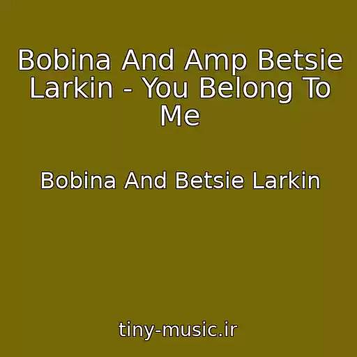 کاور آهنگ Bobina And Amp Betsie Larkin - You Belong To Me از Bobina And Betsie Larkin
