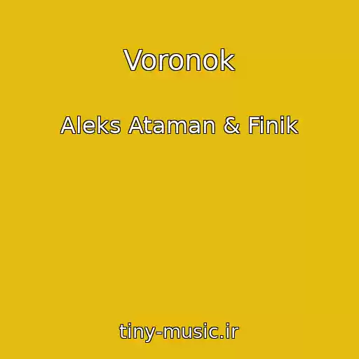 کاور آهنگ Voronok از Aleks Ataman & Finik