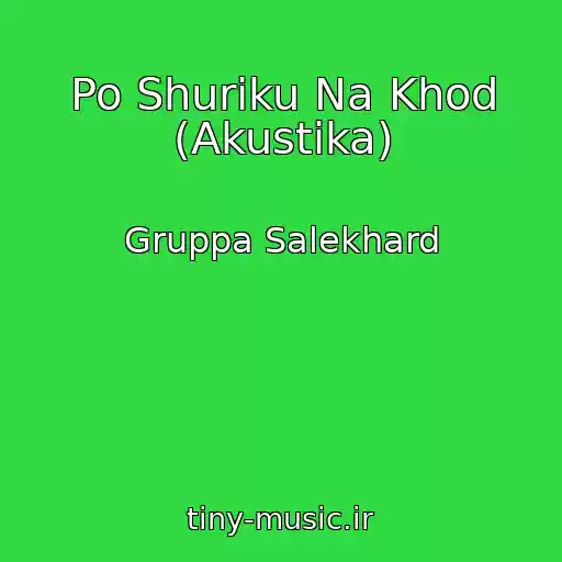 کاور آهنگ Po Shuriku Na Khod (Akustika) از Gruppa Salekhard