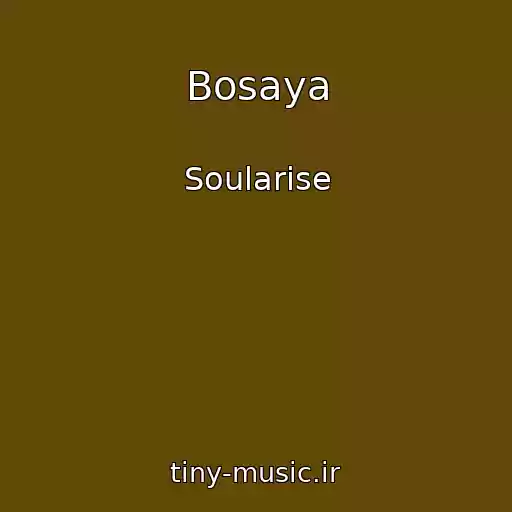 کاور آهنگ Bosaya از Soularise