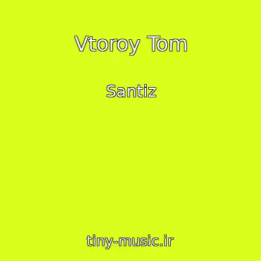 کاور آهنگ Vtoroy Tom از Santiz