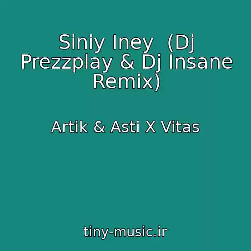 کاور آهنگ Siniy Iney  (Dj Prezzplay & Dj Insane Remix) از Artik & Asti X Vitas
