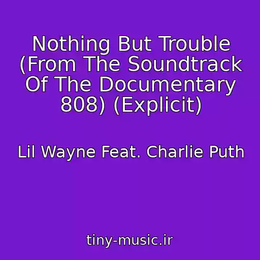 کاور آهنگ Nothing But Trouble (From The Soundtrack Of The Documentary 808) (Explicit) از Lil Wayne Feat. Charlie Puth