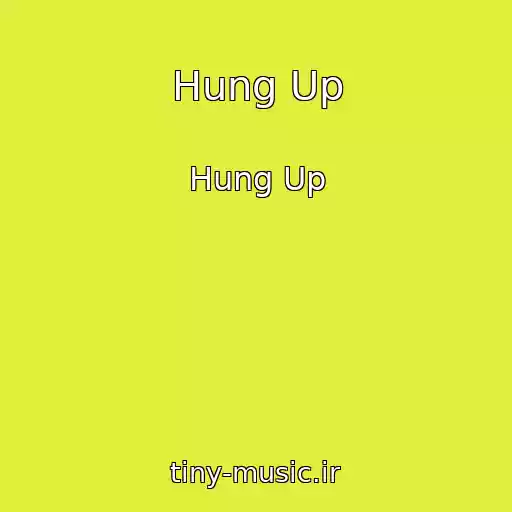 کاور آهنگ Hung Up از Hung Up