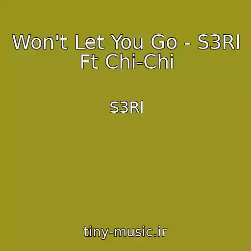 کاور آهنگ Won't Let You Go - S3Rl Ft Chi-Chi از S3Rl