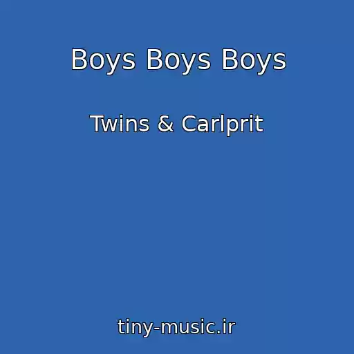 کاور آهنگ Boys Boys Boys از Twins & Carlprit